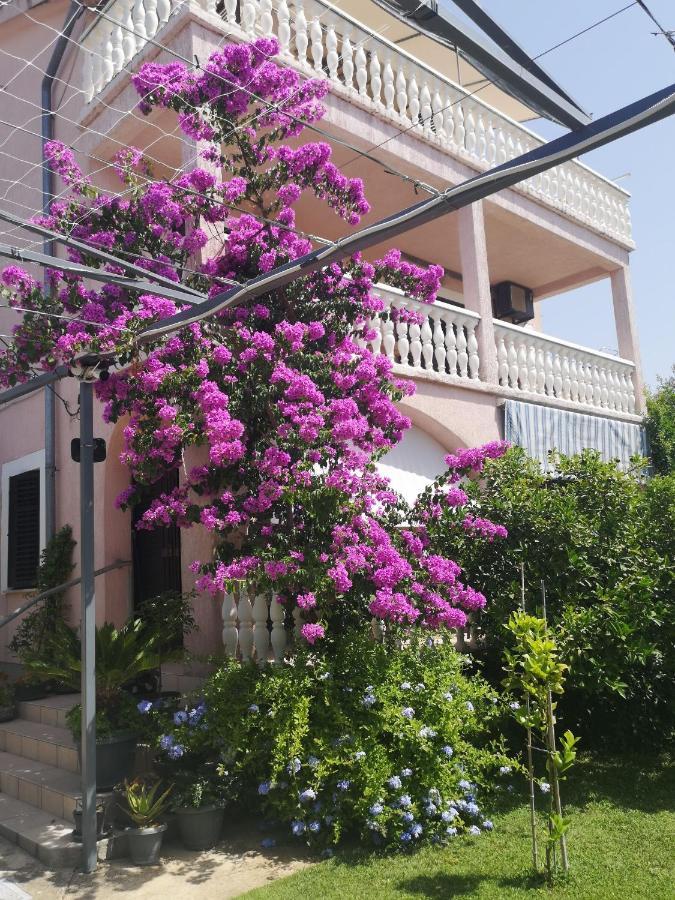 Apartments Daniela Vodice Zewnętrze zdjęcie