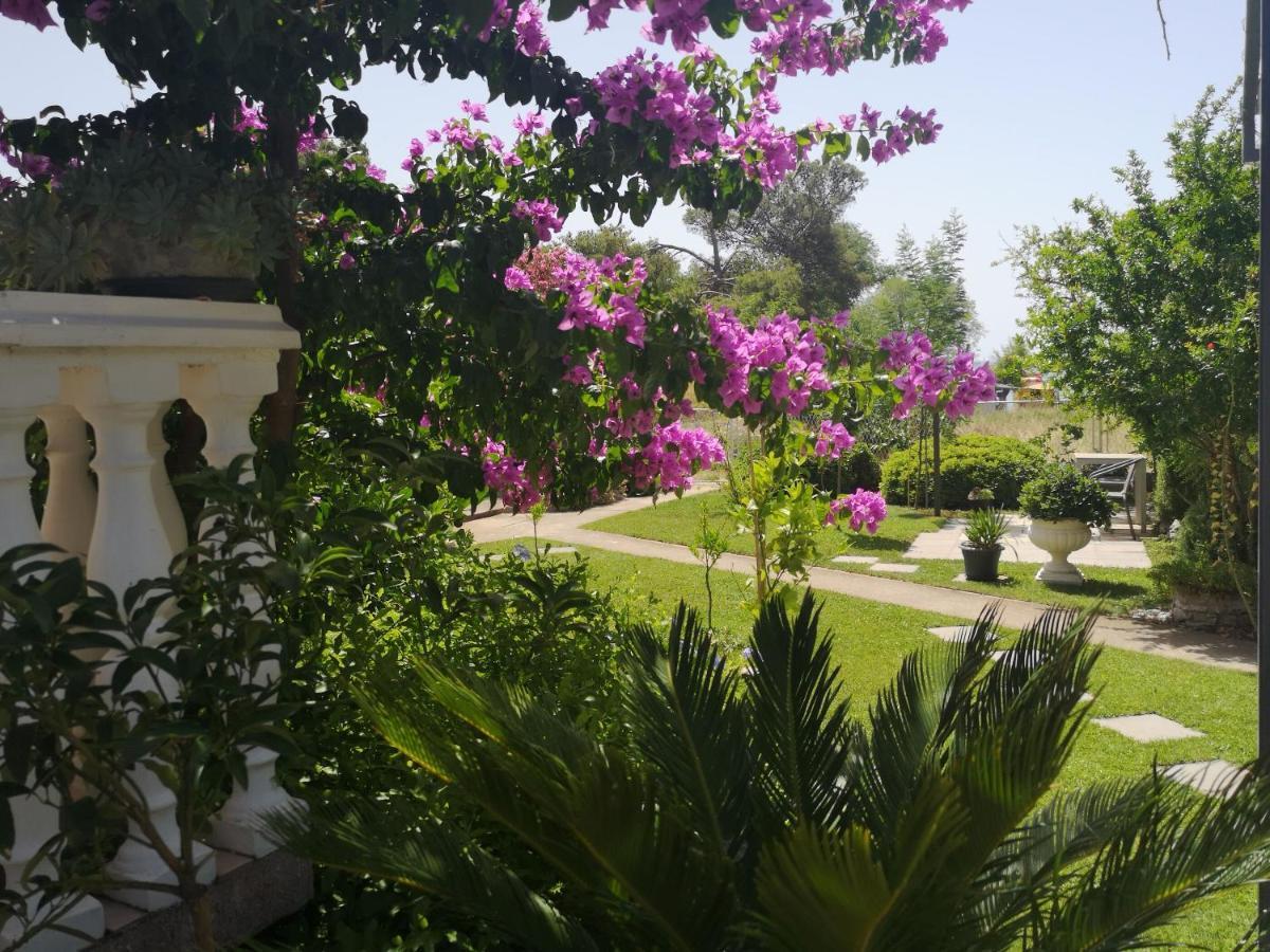 Apartments Daniela Vodice Zewnętrze zdjęcie